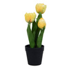 Tulipan w doniczce 28 cm sztuczny żółty w czarnej doniczce