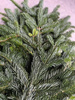 Jodła Kaukaska, Nordman z Danii, gałęzie paczka 5 kg