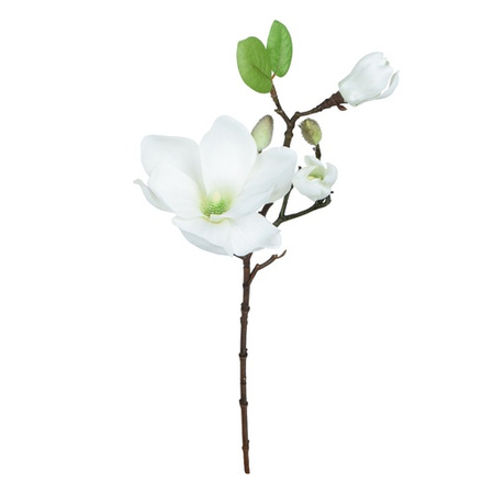 Magnolia - gałązka 50 cm  BIAŁA