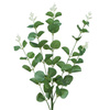 Eukaliptus - gałązka 62 cm zielono biała R667