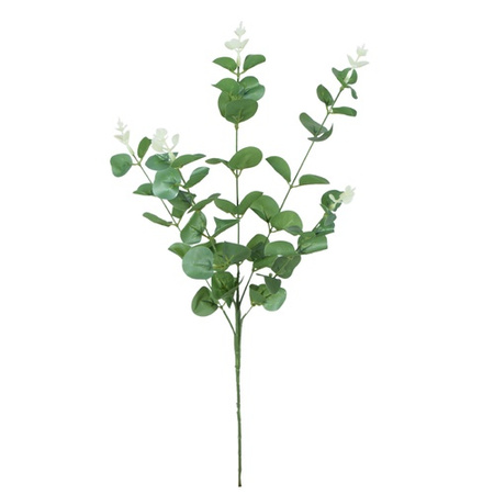 Eukaliptus - gałązka 62 cm zielono biała R667
