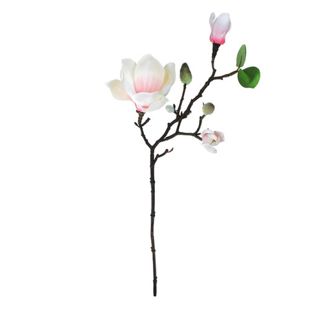 Magnolia - gałązka 50 cm biało - różowa