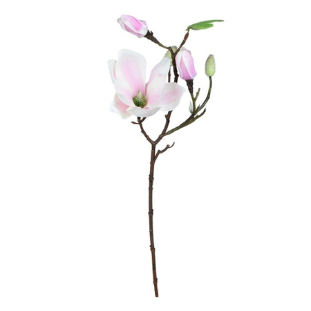 Magnolia - gałązka 50 cm biało -fioletowa