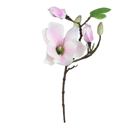 Magnolia - gałązka 50 cm biało -fioletowa