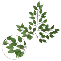 Fikus - gałązka liściasta 62 cm R590