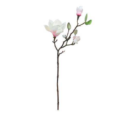 Magnolia - gałązka 50 cm biało - różowa