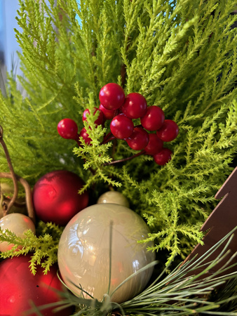 Głóg pik świąteczny czerwone kuleczki