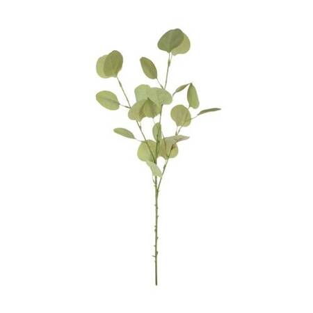 Gałązka liściasta, eukaliptus jasno zielona 78 cm